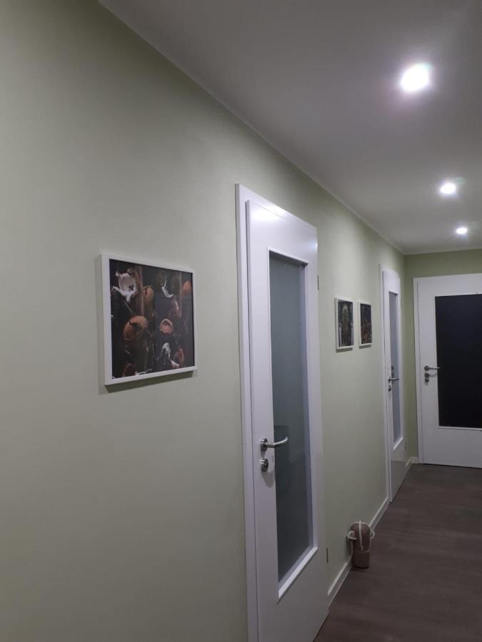 Ferienwohnung Rotbuche Tannenberg Ngoại thất bức ảnh